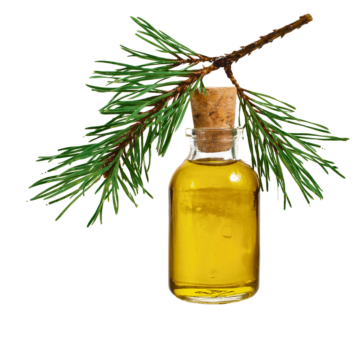 Les bienfaits de l’huile essentielle de sapin baumier Journal Accès