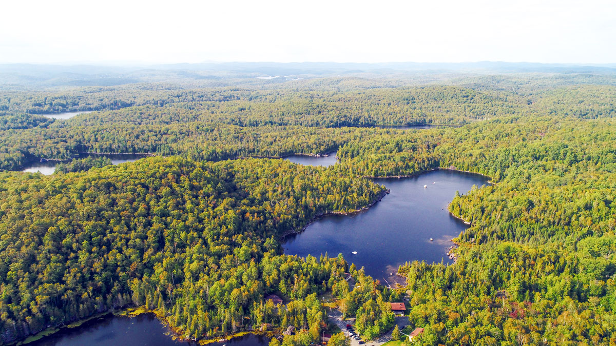 Des recherches au cœur des Laurentides