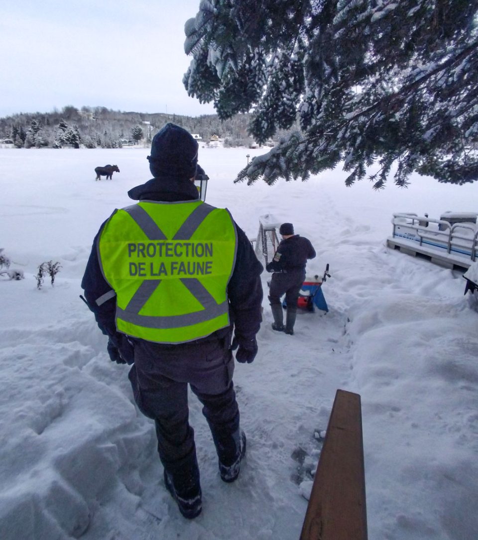 Agents de protection de la faune 