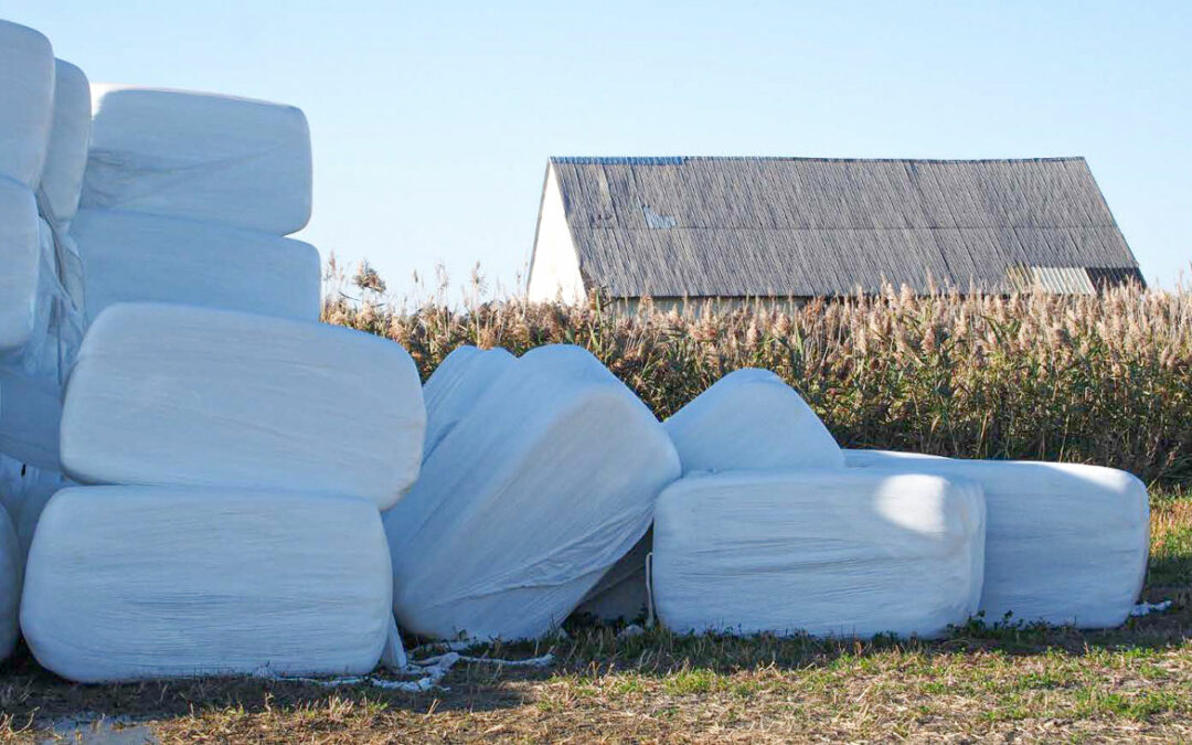 Détourner 838 tonnes de plastique des sites d’enfouissement