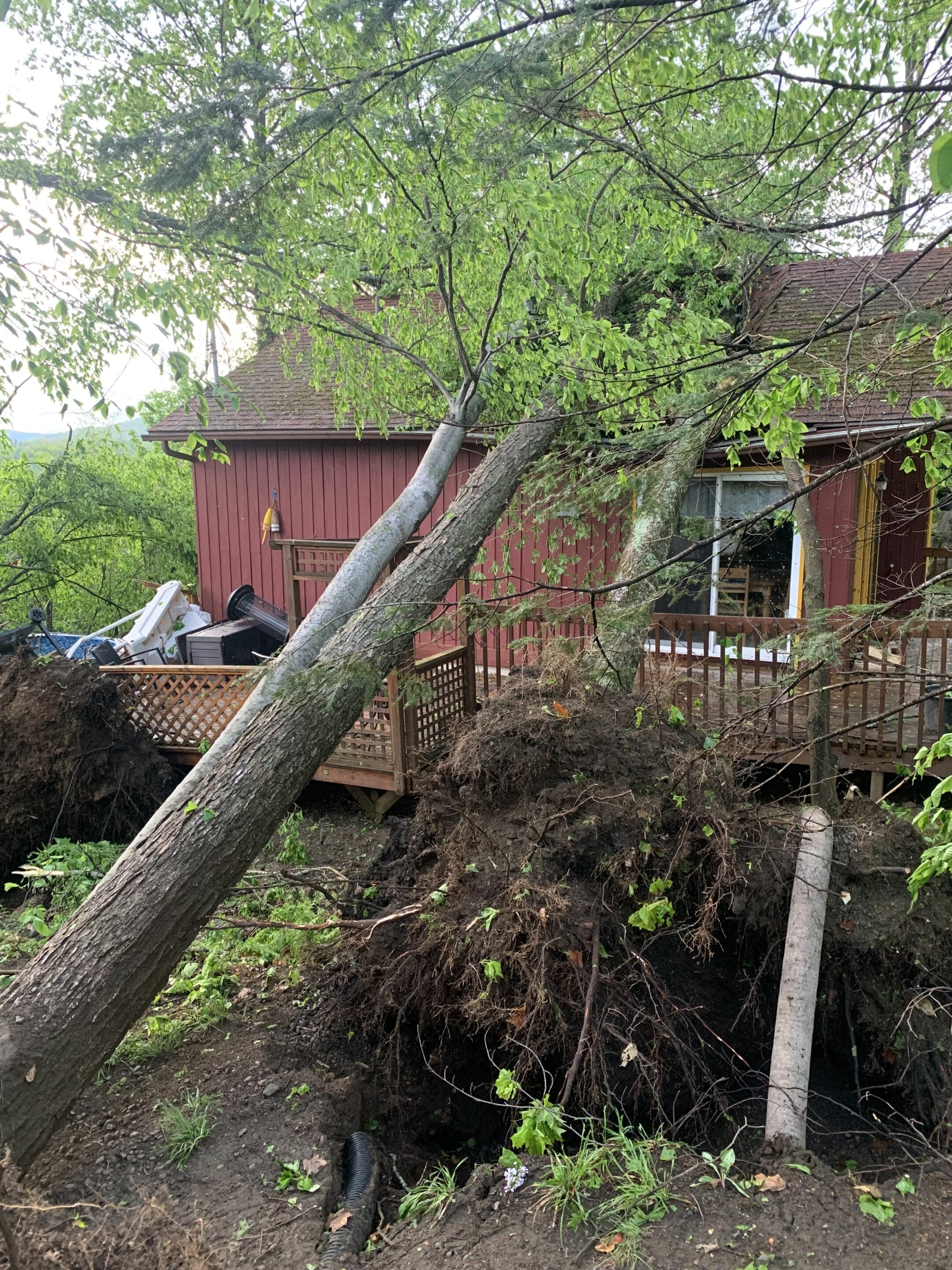 Photo : Courtoisie Photo : Josée Pilotte Photo : Alyssa Dupont Photos : Alyssa Dupont Le toit de la maison du maire Gariépy a été littéralement fendu par plusieurs arbres. Heureusement, les occupants étaient en voyage dans le Maine.