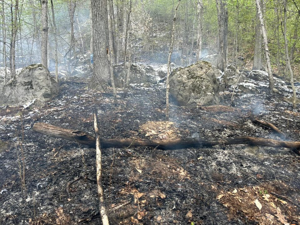 Feu de forêt Réserve naturelle Alfred-Kelly 3