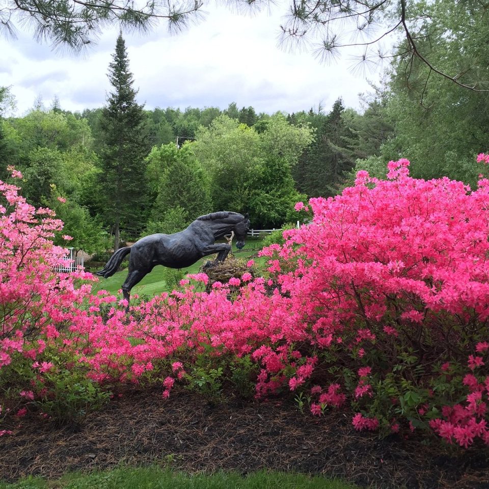 Jardin de francois
