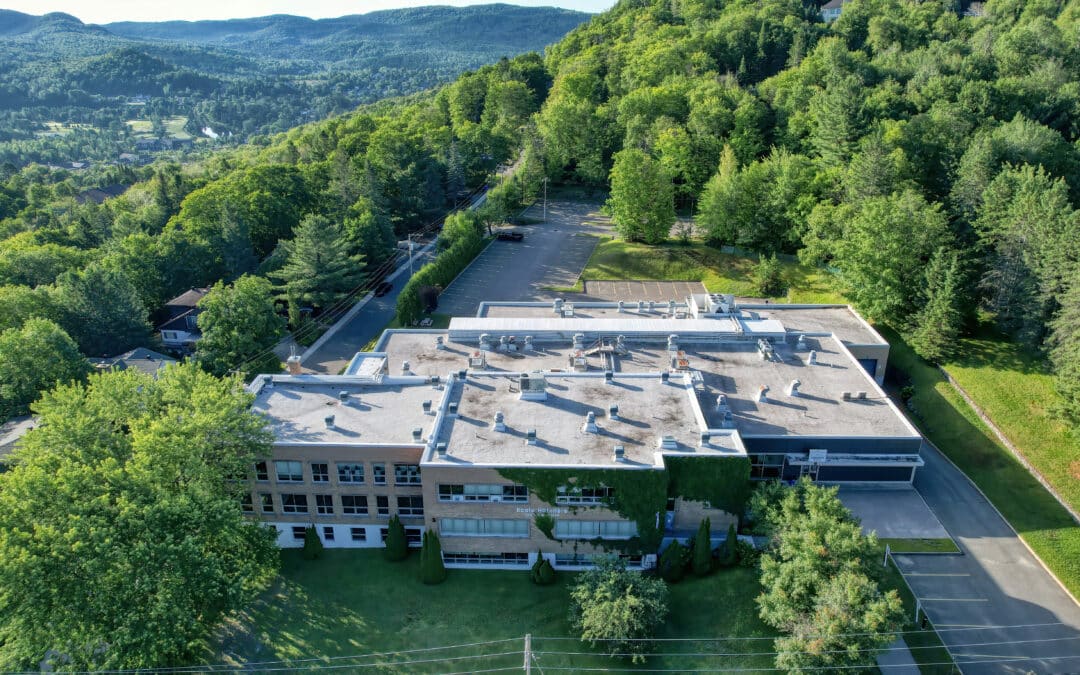 Passer par l’école, un choix avantageux
