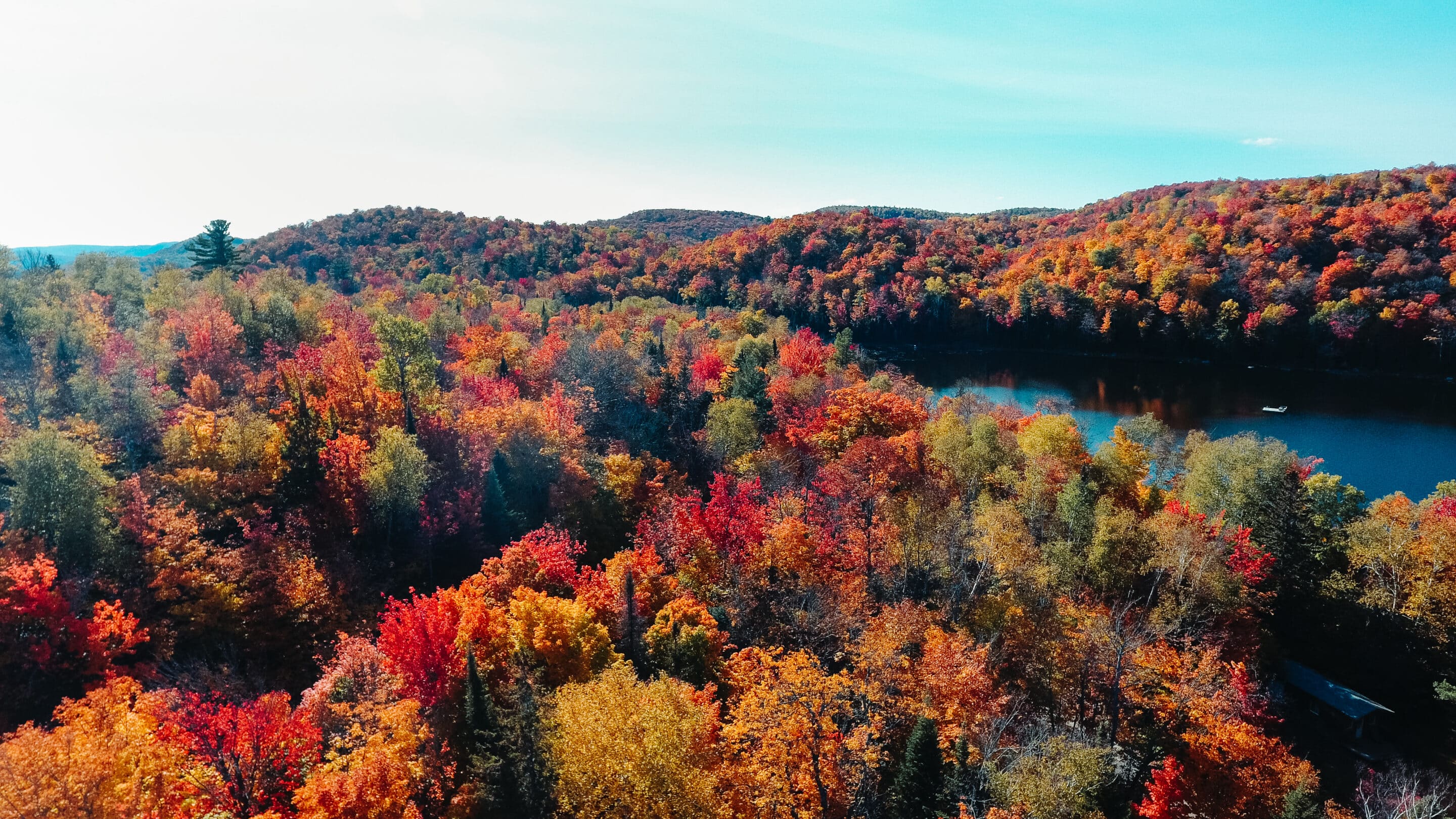 Les Laurentides se réunissent pour les milieux naturels