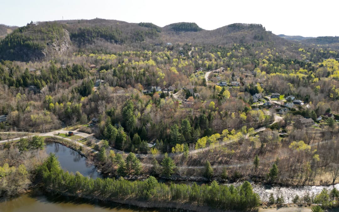 Piedmont : Avancer pour l’environnement